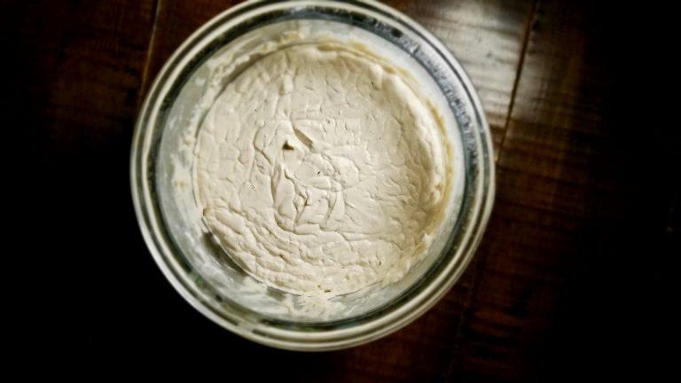 gluten-free-sourdough-starter