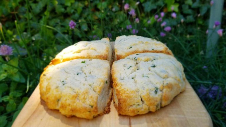 gluten-free-savory-scones