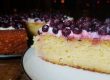 fuss-free-gf-ricotta-cake